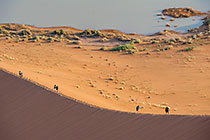 people walking on sand dune