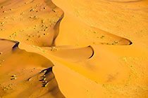sand dunes