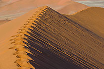 sand dunes