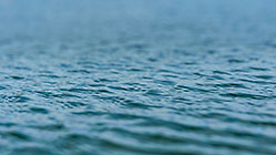 Ripples