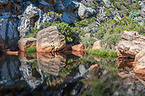 rock pool