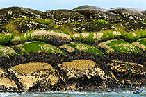 jetty