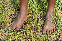 Feet