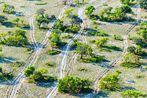 Sufrutex Crossing