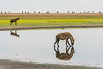 Walking on Water