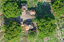 aerial landscape | hut & mango trees