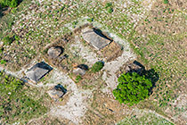 aerial landscape | hut & mango tree