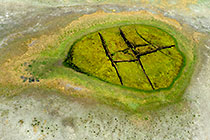 Lime Pool