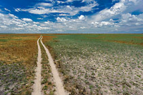 landscape | track through plain