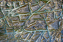 Rock Lines