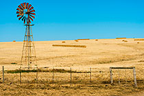 Windmill