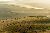 Wheat Fields