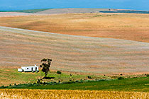 Farm Cottage