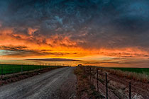 Farm Road at Sunset