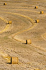 Bales