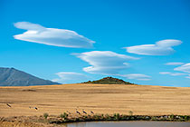 blue crane birds near dam | ufo clouds over wheat field