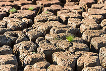 mud patterns in dry dam