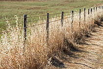 Farm Fence