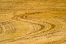 Money in Farming