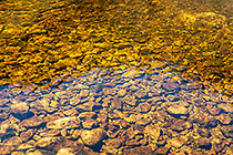 stones in stream