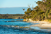people fishing on beach