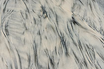 Sand Swept