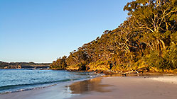 beach & forest
