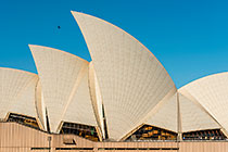 Sidney