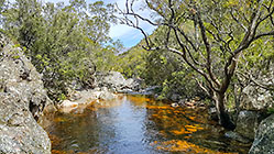 river pool
