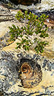 rock formation along river