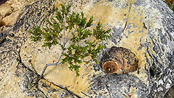 rock formation along river