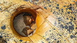 Bronzed Pothole
