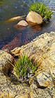 rock formation along river