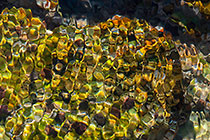 Water Vibrations 2