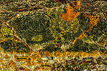 Water Vibration 3