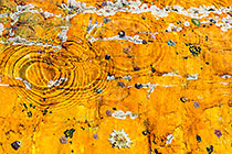 Water Vibrations 3