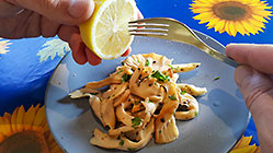 growing oyster mushrooms