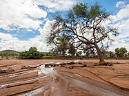 after overflowing river