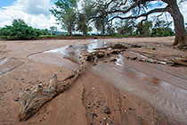 after overflowing river