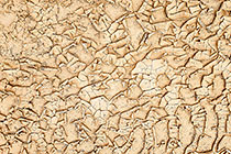 Mud Flakes