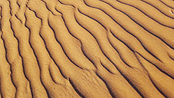 Sand Ripples