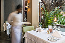 serving food in garden patio