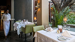 serving food in garden patio