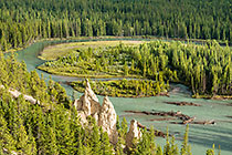 hoodoo & pine tree forest along river