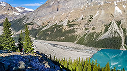 Lisa looking at pine tree forest, Peyto lake & mountains