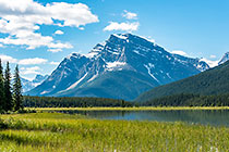 Peyto lake, pine tree forest & mountains