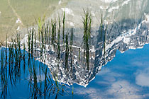 mountain & grass relection in Waterfowl lake