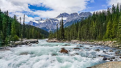 river flowing in Mistaya canyon, pine tree forest & mountains