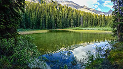 pine tree forest reflection in small lake