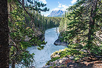 Sunwapta